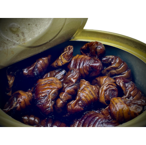 LK Baits Natur Canned Silkworm 35g